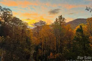 238 Texas Spur Rd, Montreat, NC 28757 - Photo 35
