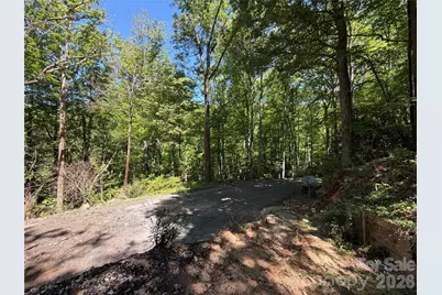 25 Buck Ridge Road, Fairview, NC 28730 - Photo 9