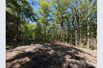 25 Buck Ridge Road, Fairview, NC 28730 - Photo 11