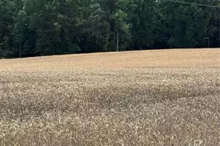 0 Olive Branch Rd, Wingate, NC 28174 - Photo 1