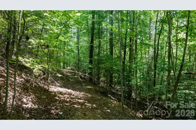 45 Harborside Drive #45, Nebo, NC 28761 - Photo 17
