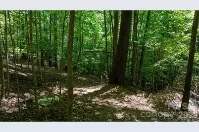 45 Harborside Drive #45, Nebo, NC 28761 - Photo 13