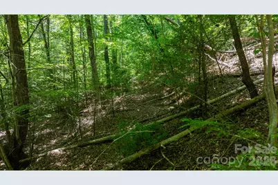 45 Harborside Drive #45, Nebo, NC 28761 - Photo 15