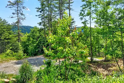 259 East Lester Lane, Hendersonville, NC 28739 - Photo 17