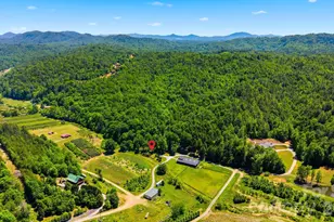 81 +/- Acres 2967 Roby Martin Rd, Lenoir, NC 28645 - Photo 9