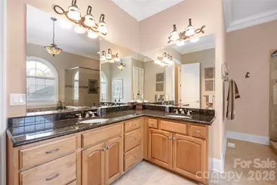 3946 Lake Spring Cove Court, Denver, NC 28037 - Photo 19