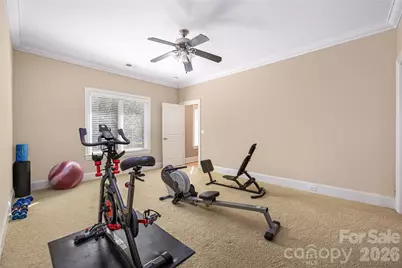 3946 Lake Spring Cove Court, Denver, NC 28037 - Photo 29