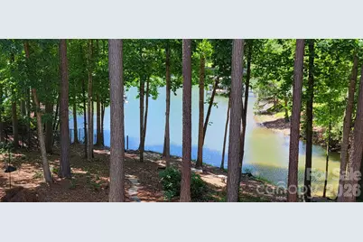 7592 Cottonwood Drive, Denver, NC 28037 - Photo 43
