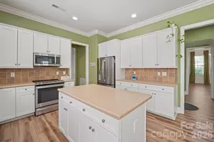4109 Exbury Gardens Dr, Waxhaw, NC 28173 - Photo 9