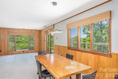 250 Lynn Cove Road, Asheville, NC 28804 - Photo 15