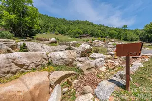 250 Lynn Cove Rd, Asheville, NC 28804 - Photo 39