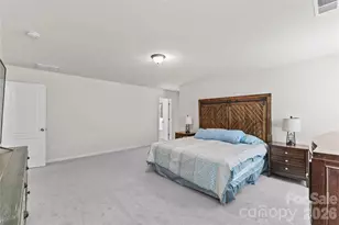 16016 Harbor Hill Dr, Charlotte, NC 28273 - Photo 31