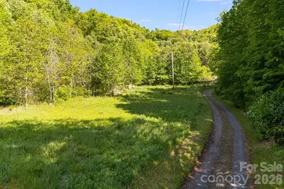 130 Black Crow Road, Burnsville, NC 28714 - Photo 3