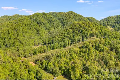 130 Black Crow Road, Burnsville, NC 28714 - Photo 9