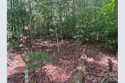Lot 19 Fawn Lane, Hayes, NC 28635 - Photo 3