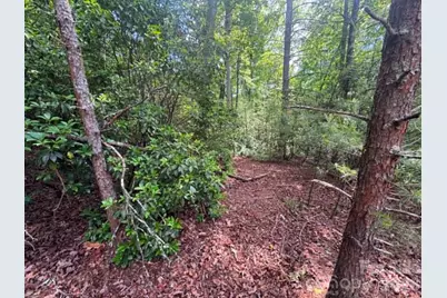 Lot 19 Fawn Lane, Hayes, NC 28635 - Photo 11