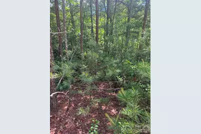 Lot 19 Fawn Lane, Hayes, NC 28635 - Photo 7