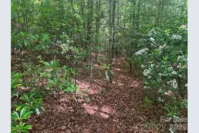 Lot 19 Fawn Lane, Hayes, NC 28635 - Photo 15