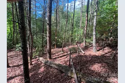 Lot 19 Fawn Lane, Hayes, NC 28635 - Photo 5