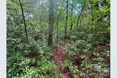 Lot 19 Fawn Lane, Hayes, NC 28635 - Photo 13