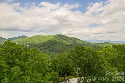 30 Gertrude Lane, Candler, NC 28715 - Photo 13