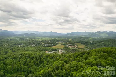 30 Gertrude Lane, Candler, NC 28715 - Photo 15