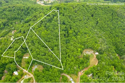 30 Gertrude Lane, Candler, NC 28715 - Photo 9