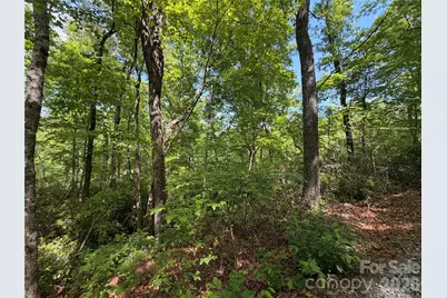0 Buffalo Shoals Road #1, Lake Lure, NC 28746 - Photo 3