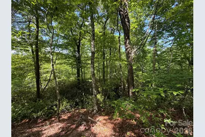 0 Buffalo Shoals Road #1, Lake Lure, NC 28746 - Photo 5