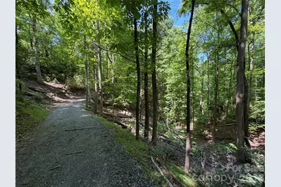 0 Buffalo Shoals Road #1, Lake Lure, NC 28746 - Photo 9