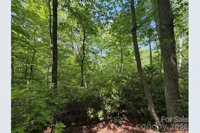 0 Buffalo Shoals Road #1, Lake Lure, NC 28746 - Photo 7