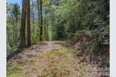 4111 Bobs Creek Road, Zirconia, NC 28790 - Photo 13