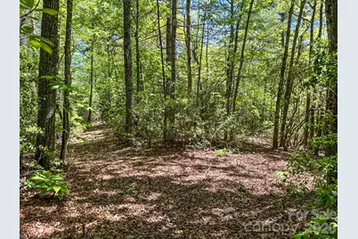 4111 Bobs Creek Road, Zirconia, NC 28790 - Photo 45