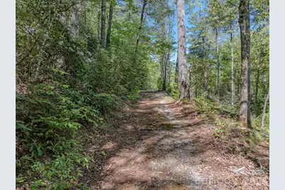 4111 Bobs Creek Road, Zirconia, NC 28790 - Photo 11