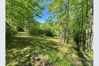 4111 Bobs Creek Road, Zirconia, NC 28790 - Photo 33