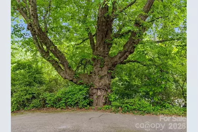 506 Johnston School Road, Asheville, NC 28806 - Photo 37