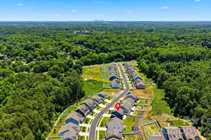 5041 Mooreland Oaks Way, Mount Holly, NC 28120 - Photo 33