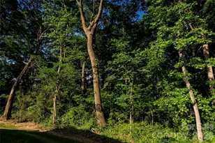3004 Buffet Ln, Monroe, NC 28110 - Photo 5