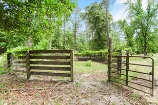 2082 Mary D Rd, Chesterfield, SC 29709 - Photo 33