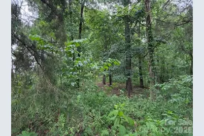 8838 Morgan Mill Road, Monroe, NC 28110 - Photo 7
