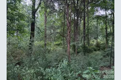 8838 Morgan Mill Road, Monroe, NC 28110 - Photo 5