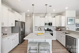16732 Cozy Cove Rd, Charlotte, NC 28278 - Photo 17
