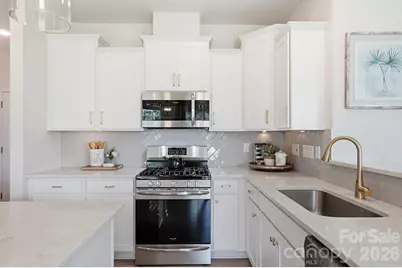 16732 Cozy Cove Road, Charlotte, NC 28278 - Photo 19