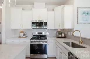 16732 Cozy Cove Rd, Charlotte, NC 28278 - Photo 19