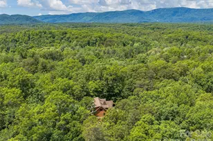 413 Green Hills Rd, Mill Spring, NC 28756 - Photo 47