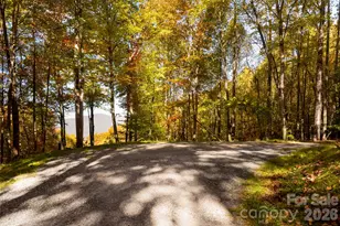 256 Haulback Wy, Sylva, NC 28779 - Photo 33