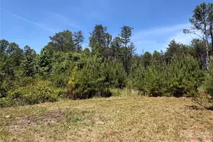 1962 Norman Parker Rd, Lawndale, NC 28090 - Photo 7