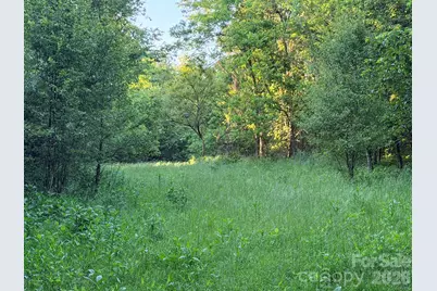 0 Morningstar Lake Road, Forest City, NC 28043 - Photo 15