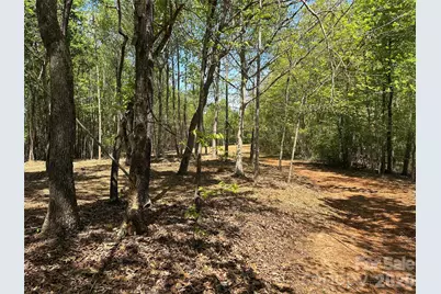 256 Long Leaf Pine Drive, Hiddenite, NC 28636 - Photo 11
