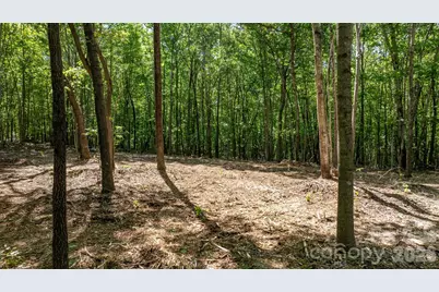 256 Long Leaf Pine Drive, Hiddenite, NC 28636 - Photo 9